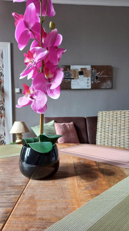 Studios Et Appartements En Centre Ville Boulogne Sur Mer المظهر الخارجي الصورة